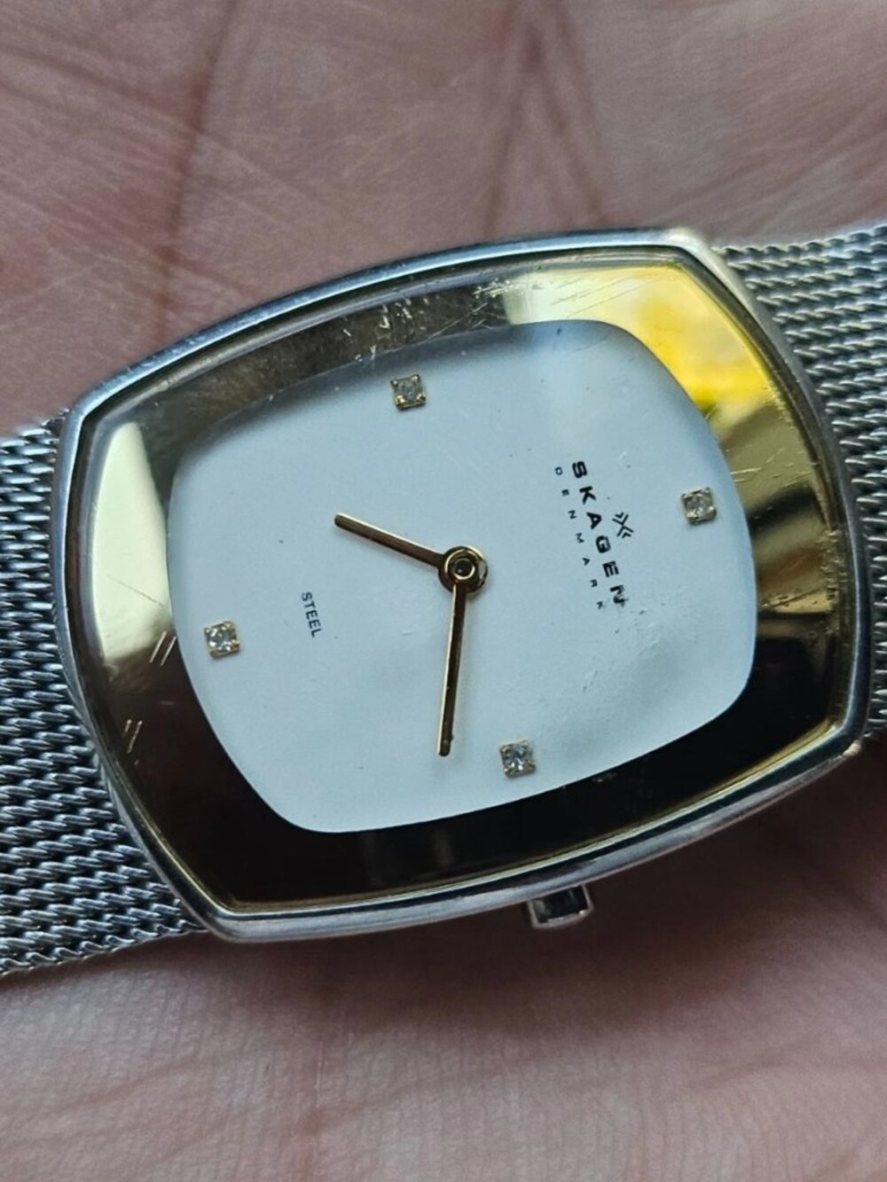 Skagen Denmark Wristwatch Silver Tone Mesh Metal Band Analog Quartz Wrist Watch